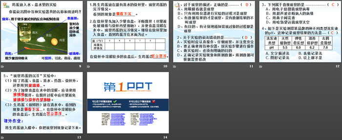 《科学观察》PPT课件
