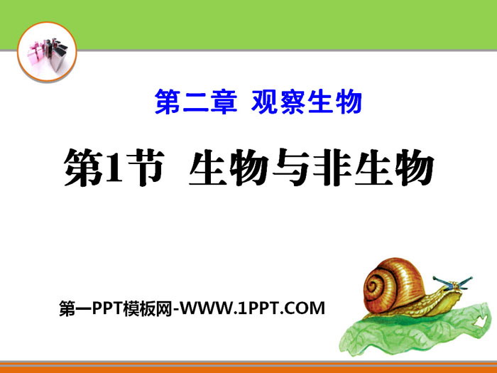 《生物与非生物》PPT