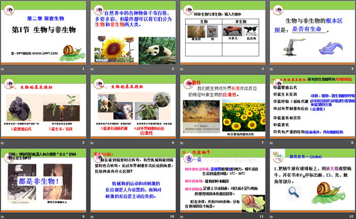 《生物与非生物》PPT