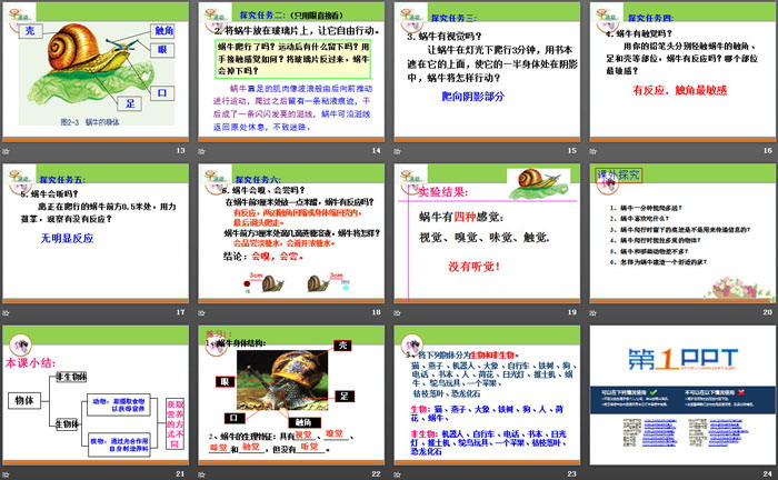 《生物与非生物》PPT