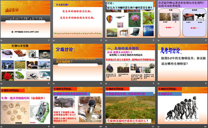 《生物与非生物》PPT课件