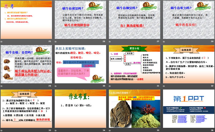 《生物与非生物》PPT课件