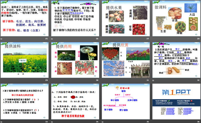 《常见的动物》PPT下载