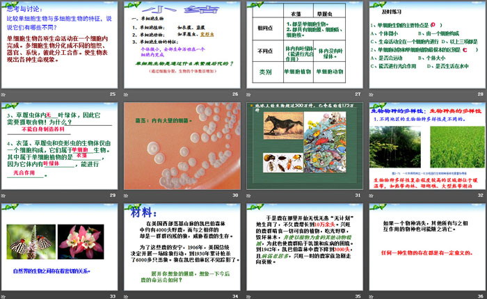 《物种的多样性》PPT
