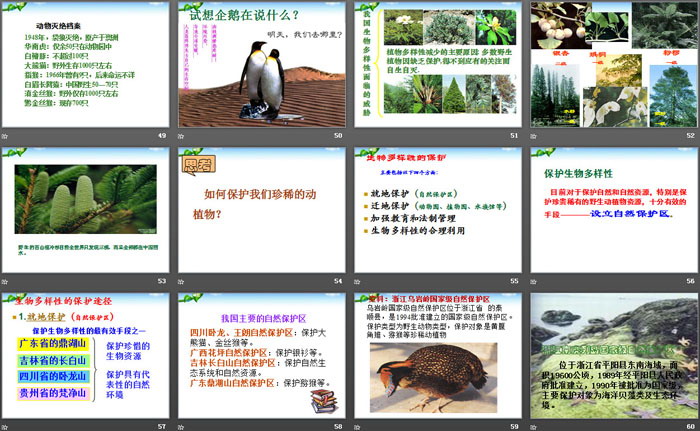《物种的多样性》PPT
