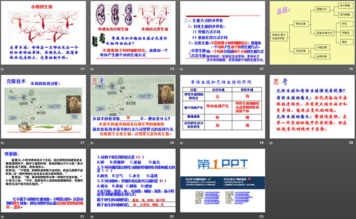 《动物的生长时期》PPT