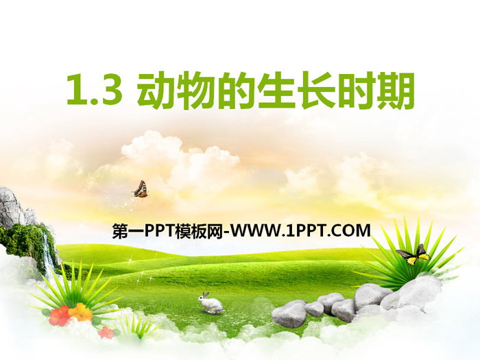 《动物的生长时期》PPT课件