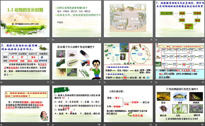 《动物的生长时期》PPT课件