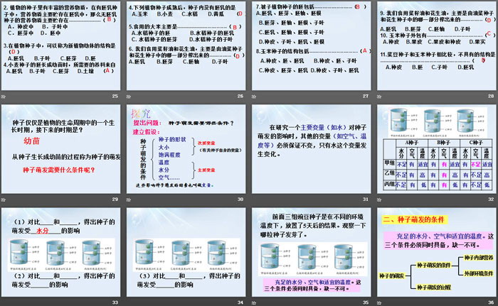 《植物的一生》PPT