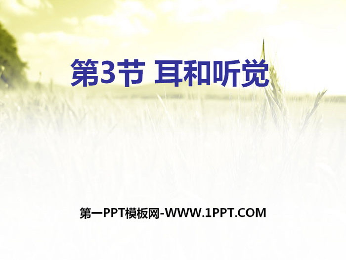 《耳和听觉》PPT