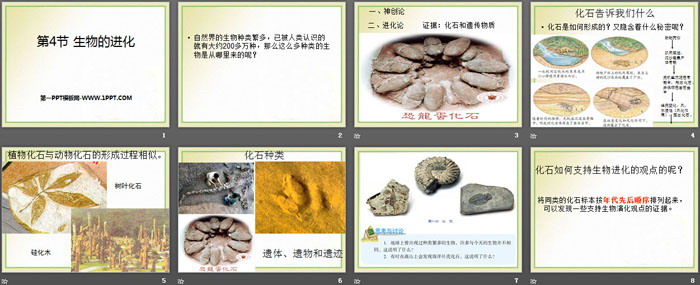 《生物的进化》PPT免费课件