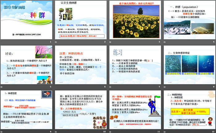 《种群》PPT