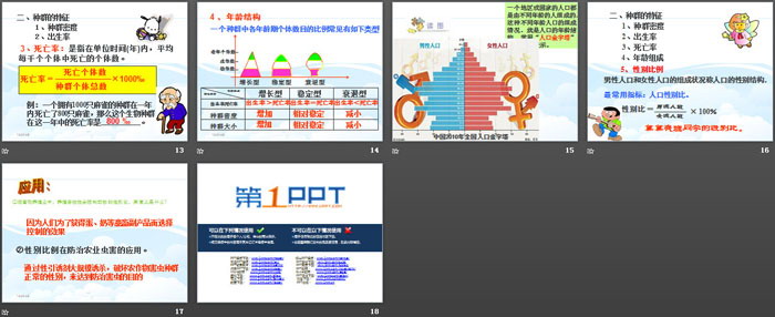 《种群》PPT