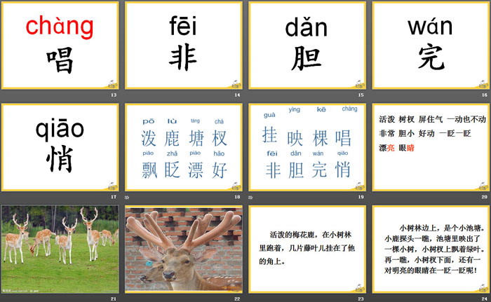 《长眼睛的小树》PPT课件