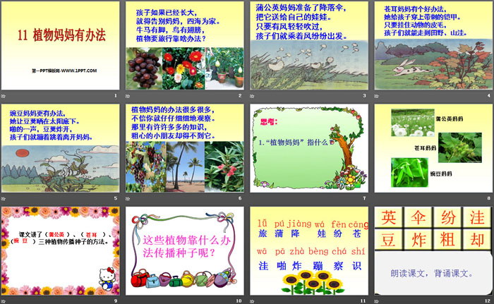 《植物妈妈有办法》PPT课件下载