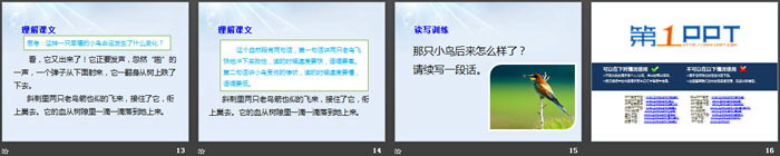 《一只小鸟》PPT