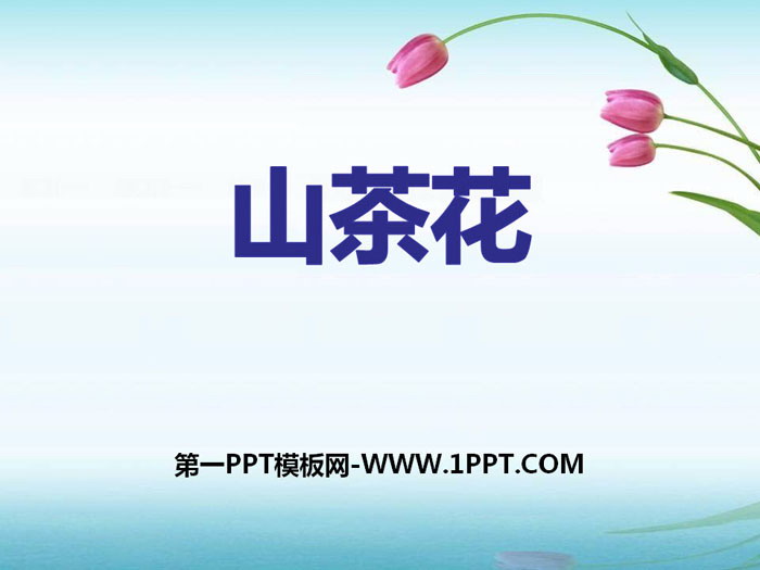 《山茶花》PPT