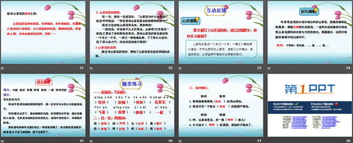 《山茶花》PPT
