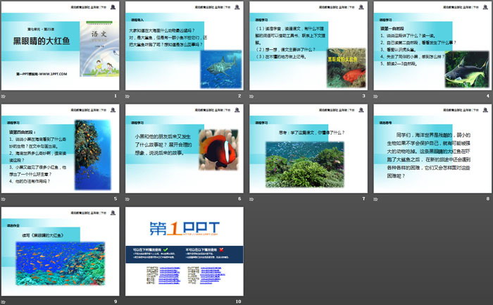 《黑眼睛的大红鱼》PPT