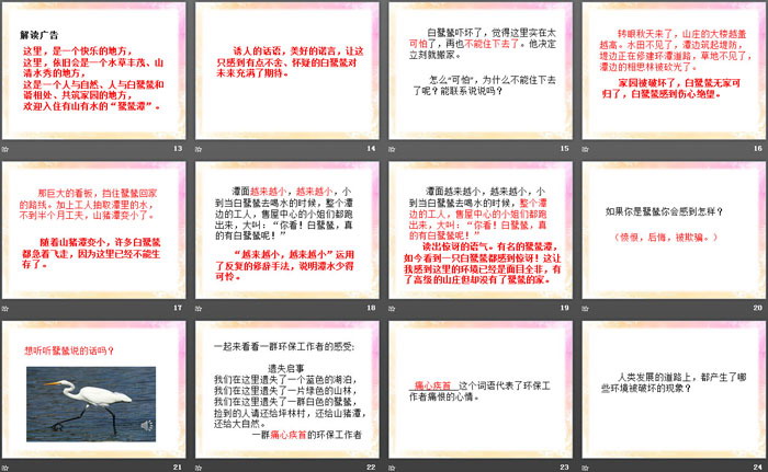 《最后一只白鹭鸶》PPT