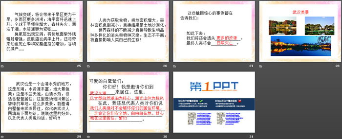 《最后一只白鹭鸶》PPT