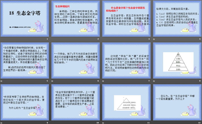 《生态金字塔》PPT下载