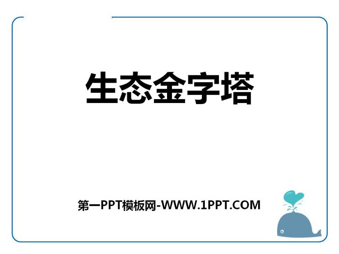 《生态金字塔》PPT课件下载