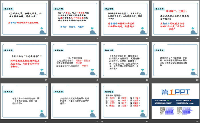 《生态金字塔》PPT课件下载