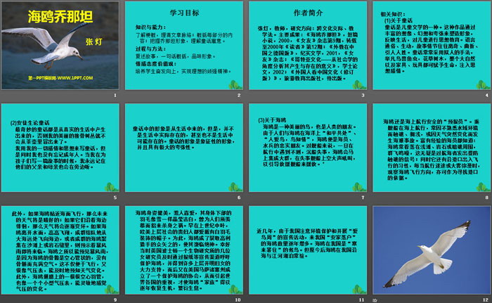 《海鸥乔那坦》PPT