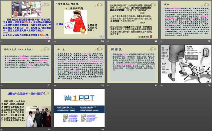 《传染病及其预防》PPT下载