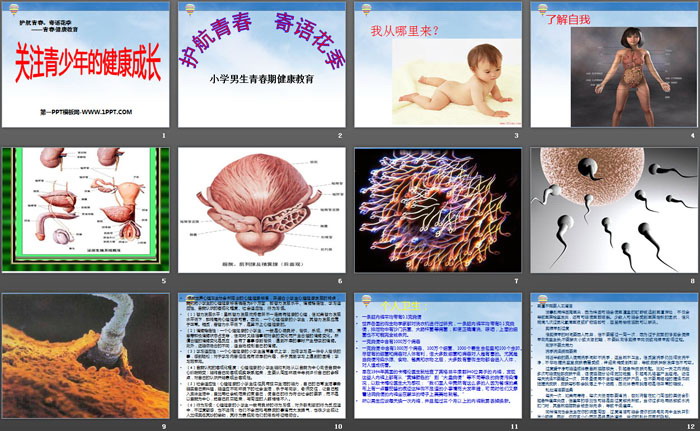 《关注青少年的健康成长》PPT