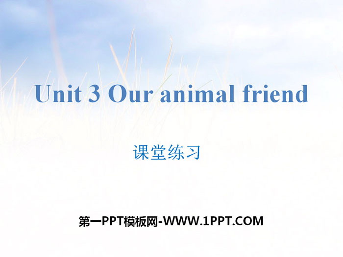 《Our animal friends》课堂练习PPT