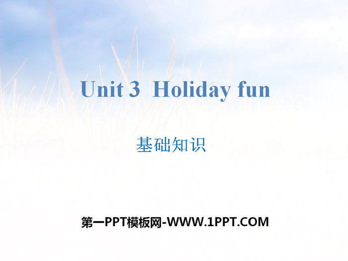 《Holiday fun》基础知识PPT