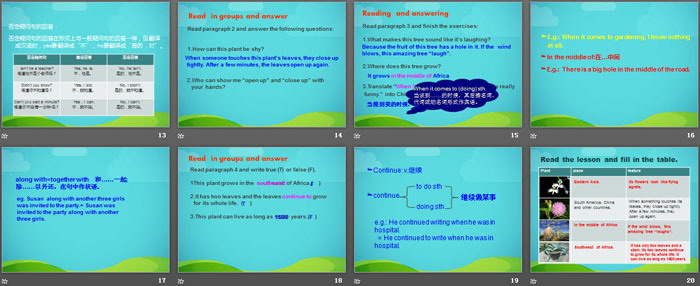 《Amazing Plants》Plant a Plant PPT课件