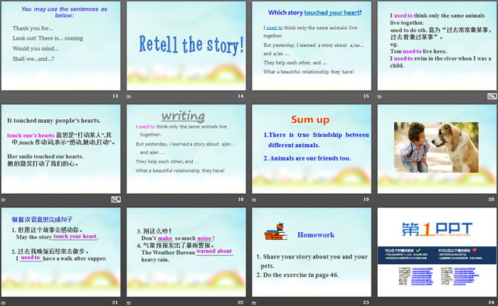 《Friendship Between Animals》Animals Are Our Friends PPT