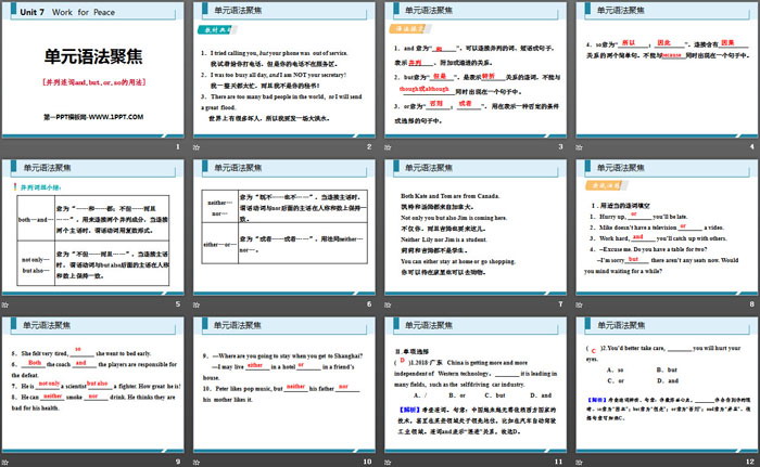 《单元语法聚焦》Work for Peace PPT