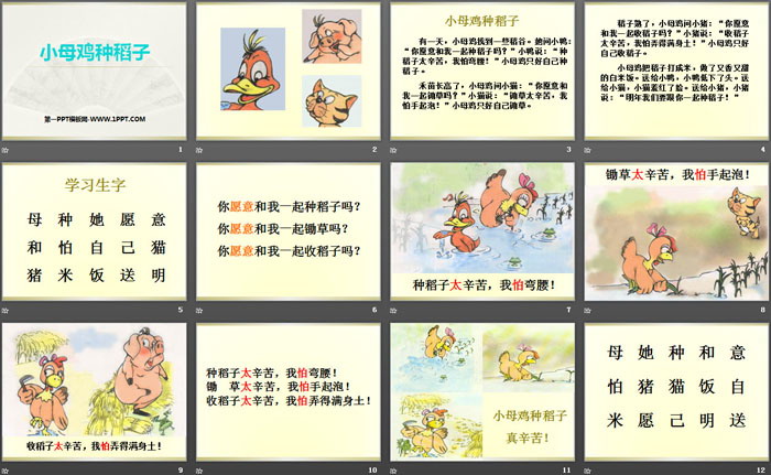 《小母鸡种稻子》PPT下载