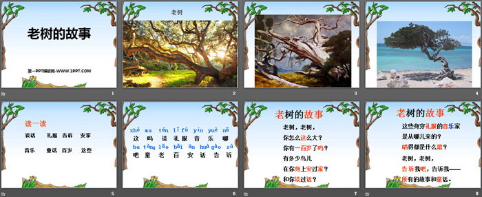 《老树的故事》PPT