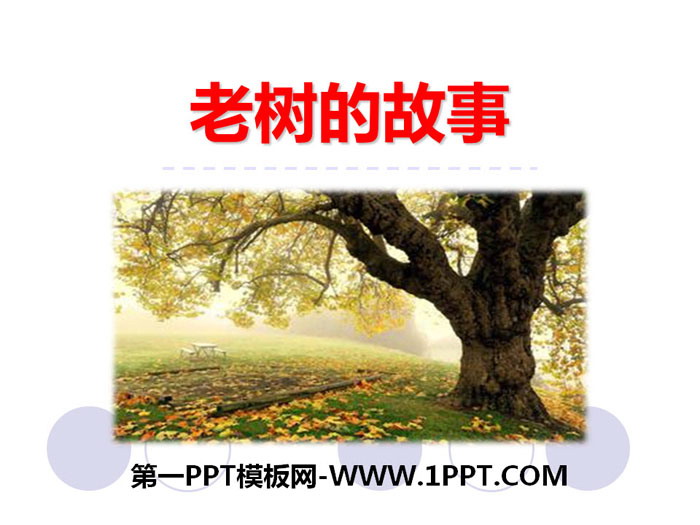 《老树的故事》PPT教学课件