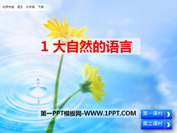 《大自然的语言》PPT课件下载