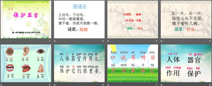 《保护器官》PPT教学课件
