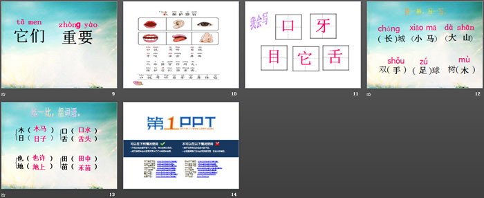 《保护器官》PPT教学课件
