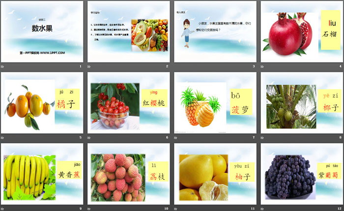 《数水果》PPT下载