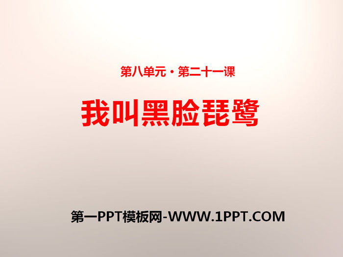 《我叫黑脸琵鹭》PPT