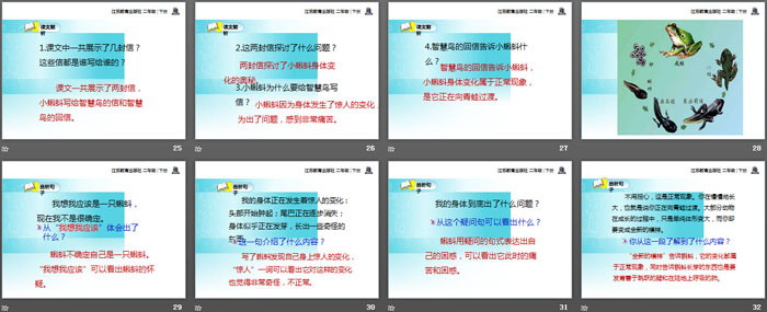 《智慧鸟信箱》PPT