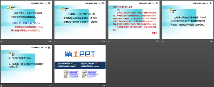 《智慧鸟信箱》PPT