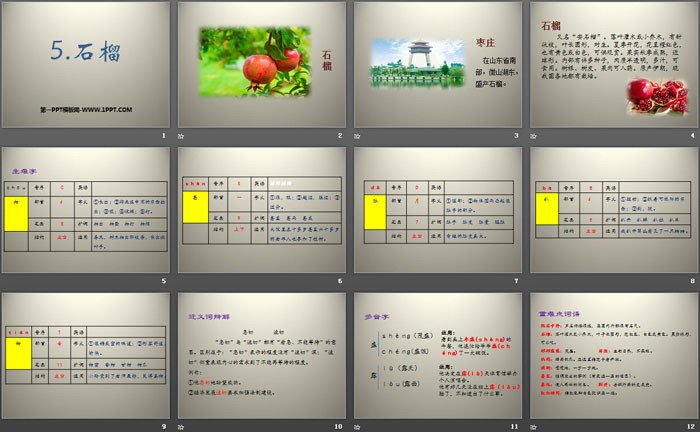 《石榴》PPT
