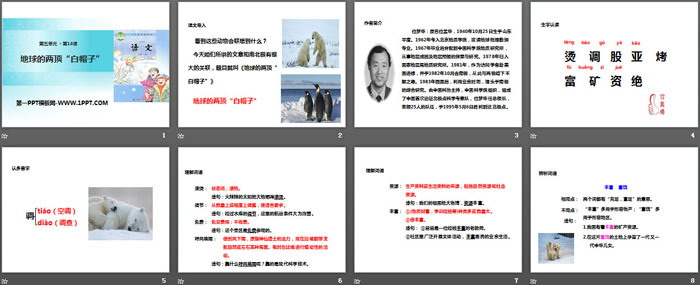 《地球的两顶“白帽子”》PPT教学课件