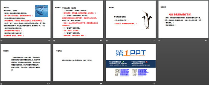 《地球的两顶“白帽子”》PPT教学课件