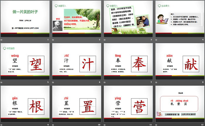 《做一片美的叶子》PPT